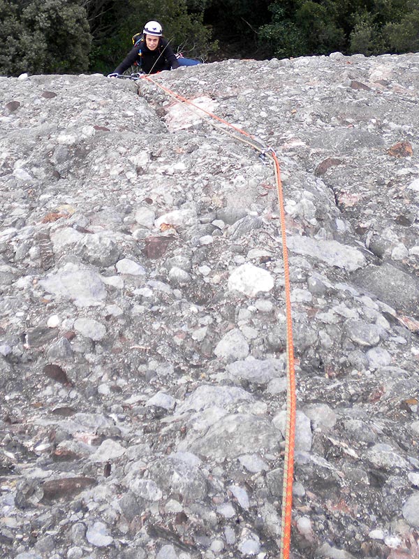 Pell Roja als Estalvis del Porró | Escalatroncs